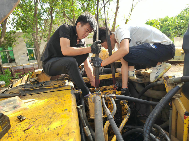 龙八头号玩家唯一机械